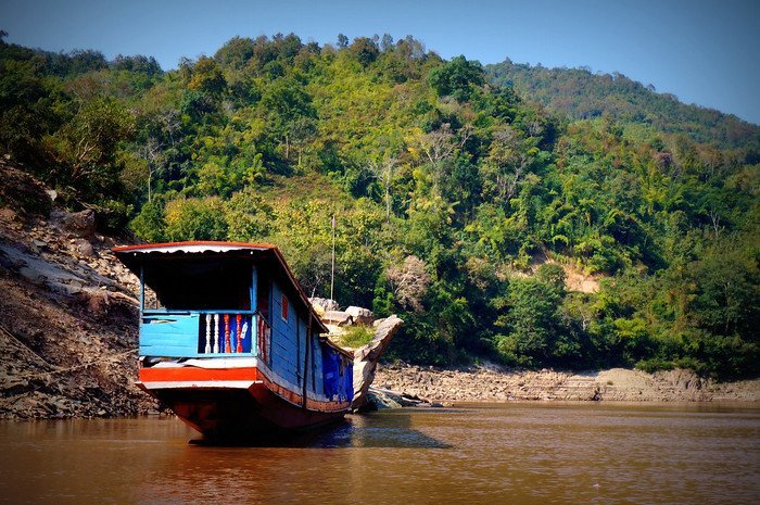 barca solitaria incastrata tra alberi fitti
