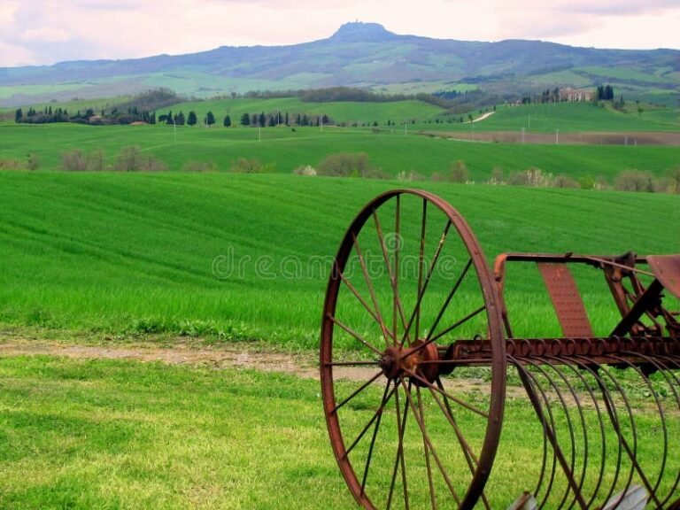 campi verdi con attrezzi agricoli antichi