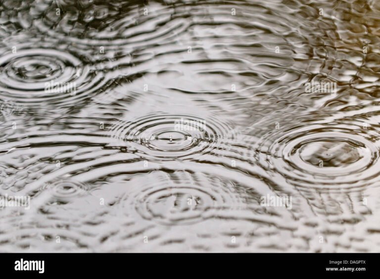 Cosa Significa L'espressione "Piove Sul Bagnato" E Quando Usarla 6 Cosa Significa L’espressione “Piove Sul Bagnato” E Quando Usarla