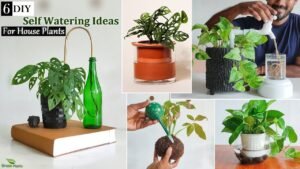irrigatori automatici con piante in vaso verdi