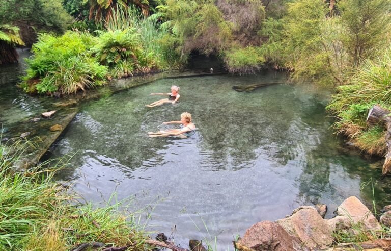 piscina termale con cenni di natura rilassante