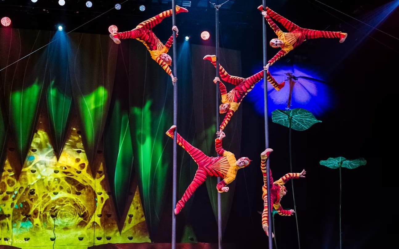 Come Acquistare Biglietti per il Cirque du Soleil a Milano