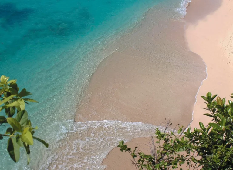 Dove Si Trova Il Lido Punta Cilento E Come Raggiungere Il Mare 2 spiaggia sabbiosa con mare cristallino e scogli