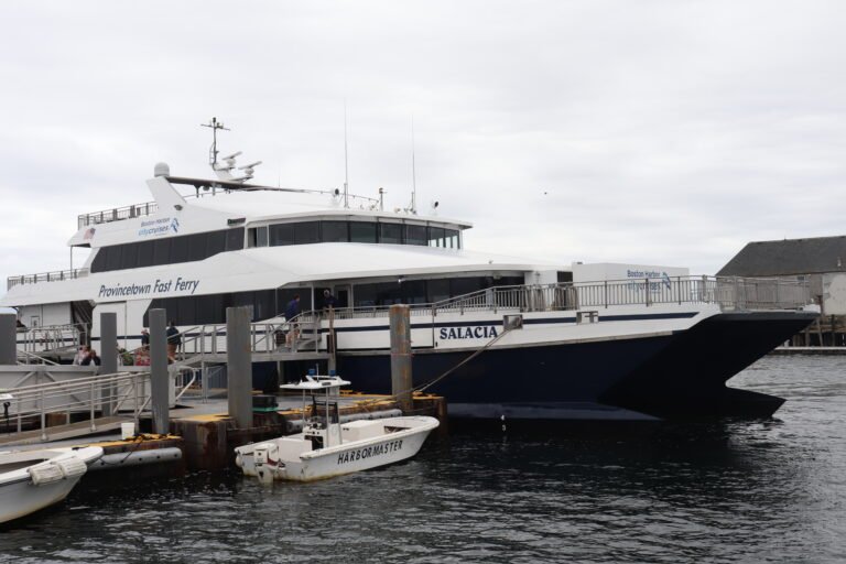 traghetto veloce attraccato al porto marittimo