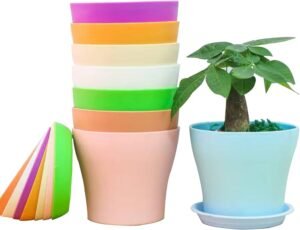 vasi di plastica colorati con piante verdi