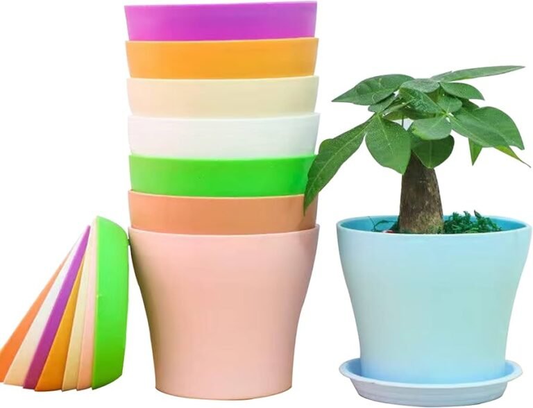 Quali Sono I Vantaggi Dei Vasi Per Fiori In Plastica Rispetto Altre Opzioni 2 vasi di plastica colorati con piante verdi