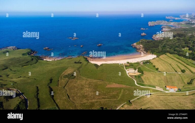 Dove si Trova Esattamente Il Prato Del Mare a Santa Marinella 1 veduta aerea del mare e prato verde
