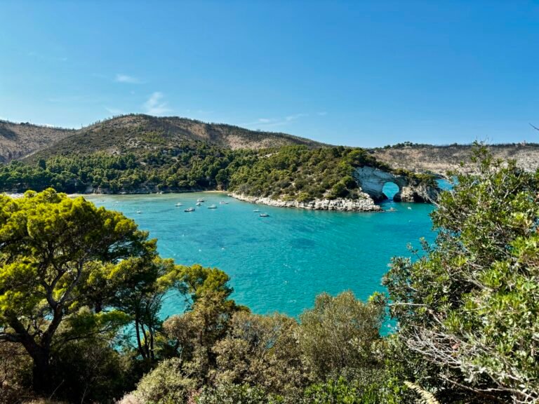 Cala Felice e Arco Felice: Quali Sono le Migliori Attrazioni da Visitare 6 Cala Felice e Arco Felice: Quali Sono le Migliori Attrazioni da Visitare